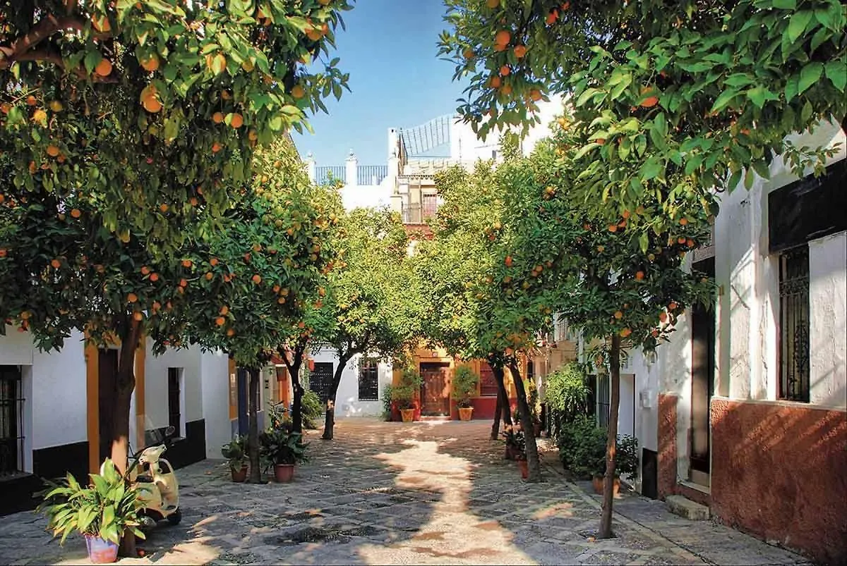 Idilico Atico En Triana-3Bd+1Bth Apartment Seville
